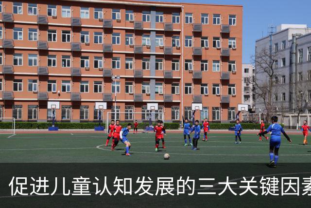 促进儿童认知发展的三大关键因素